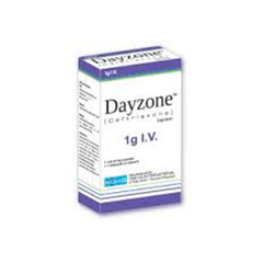 Dayzone Iv Injection 1G (1 Box = 1 Injection)