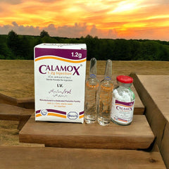 Calamox Iv Injection 1.2 G (1 Box = 1 Injection)