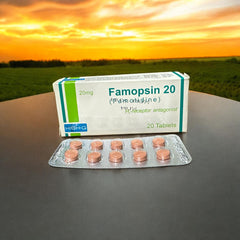 Famopsin Tablets 20Mg  (1 Strip = 10 Tablets)